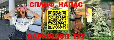 jwh Дубна
