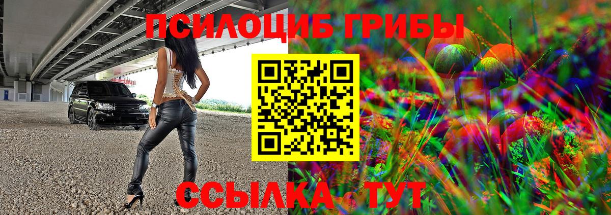 Псилоцибиновые грибы Psilocybine cubensis Лениногорск