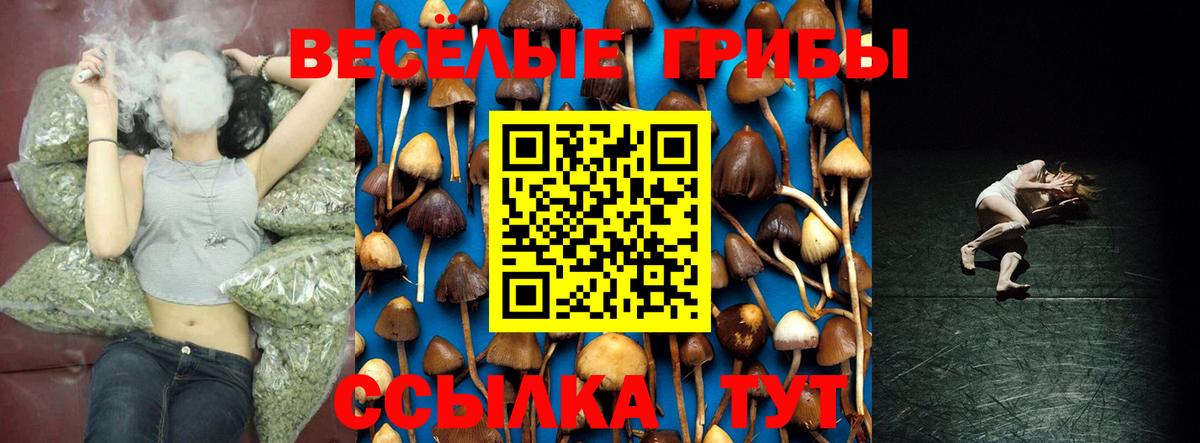 Лениногорск  Псилоцибиновые грибы Magic Shrooms  Вход с VPN 